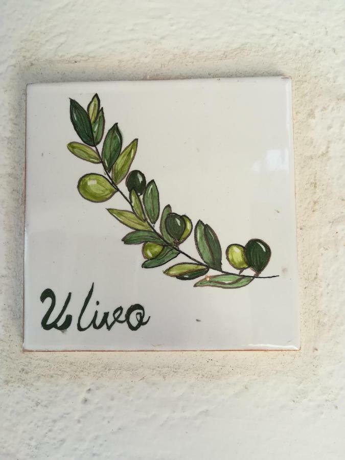 Ulivo Apartment Quartu SantʼElena Exterior foto